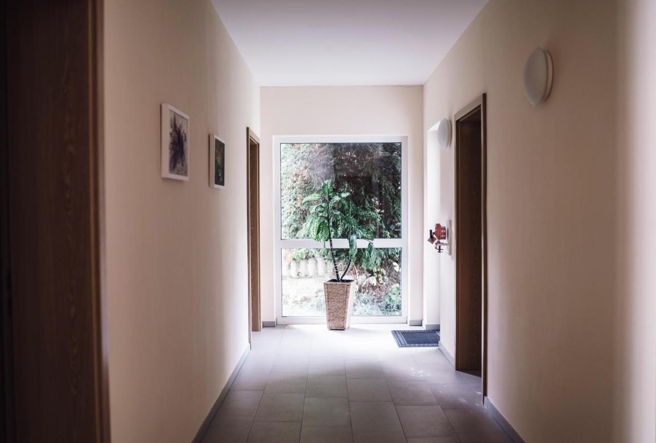 Hotel - Pension Vesta Bad Elster Zewnętrze zdjęcie