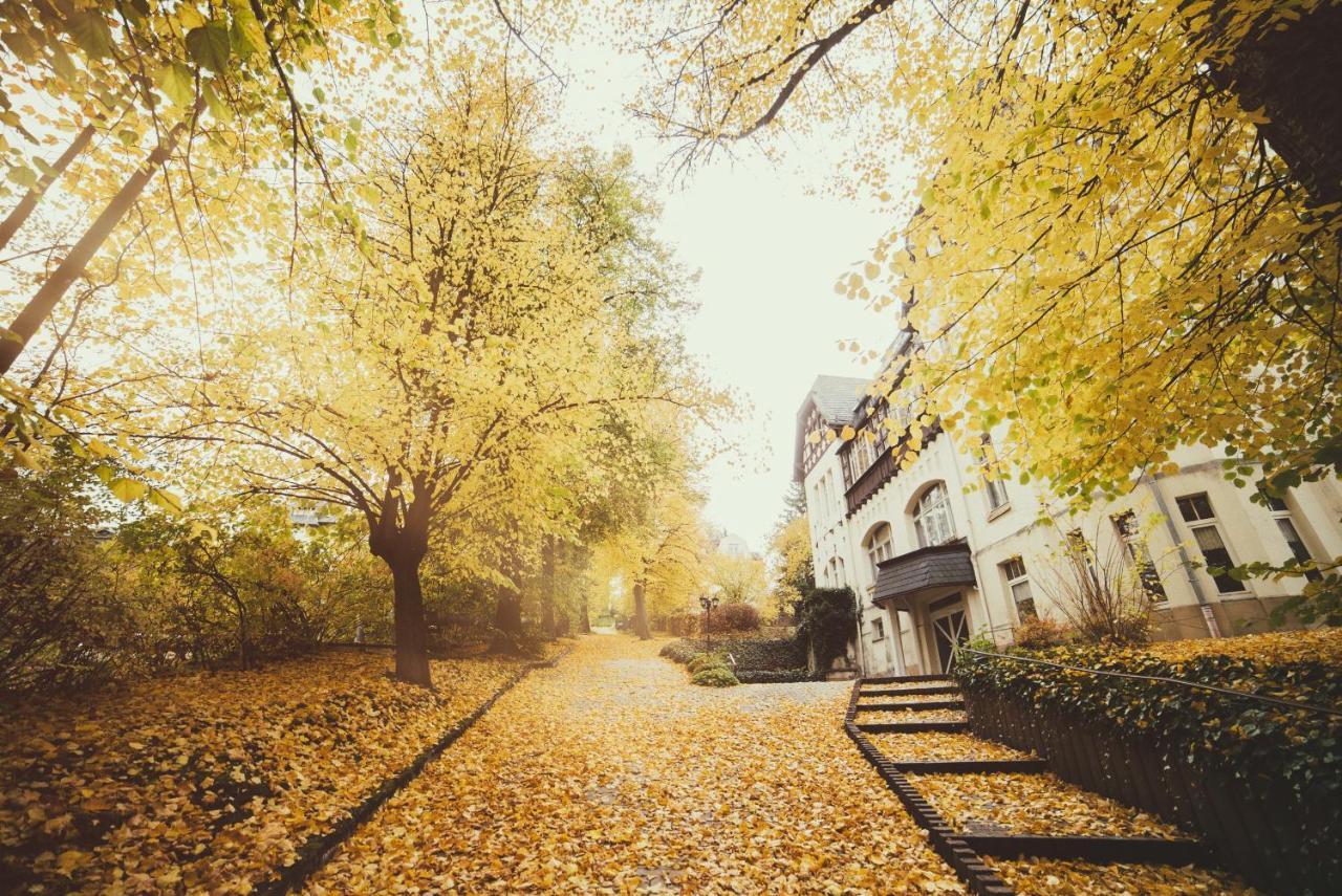 Hotel - Pension Vesta Bad Elster Zewnętrze zdjęcie
