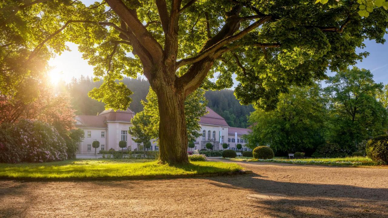 Hotel - Pension Vesta Bad Elster Zewnętrze zdjęcie
