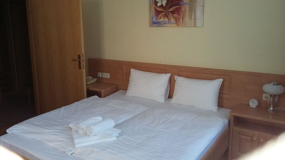 Hotel - Pension Vesta Bad Elster Zewnętrze zdjęcie